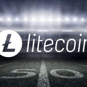 Litecoin is Now the ‘Official Crypto’ for Miami Dolphins