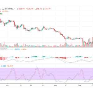 XRP Cash Price & Technical Analysis: XRP Gets Chances to Rise
