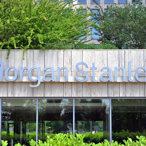 Morgan Stanley Demotes Roku as Investors Abandon Momentum Stocks