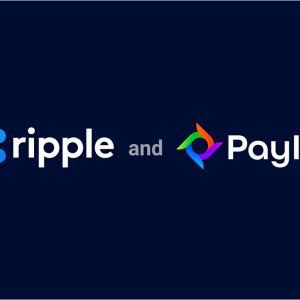 Ripple, Brave and Huobi Join Forces to Launch Global Payment Network PayID