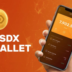 USDX Wallet: a Solution for Effortless Crypto Transfers