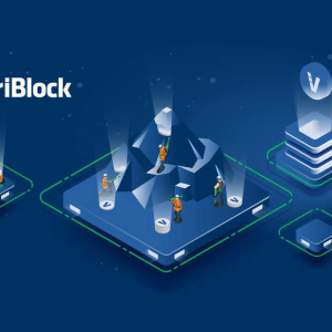 VeriBlock ‘Spams’ Bitcoin Network to Secure Blockchains of Other Cryptos