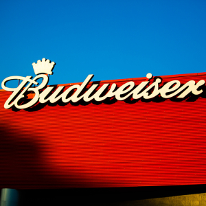Budweiser Eyes Chinese Beer Market to Topple Reign of Local Beer Companies