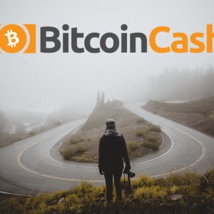 Bitcoin Cash Hard Fork: Debates Over Pre-Fork Trading and Coins’ Future Heat Up