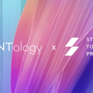 Ontology Makes a Strategic Investment in STP Network