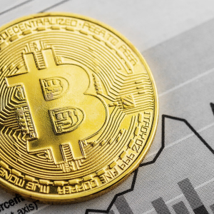 Bitcoin Price Below $9K, Morgan Creek Digital Co-Founder Targets $10K before BTC Halving