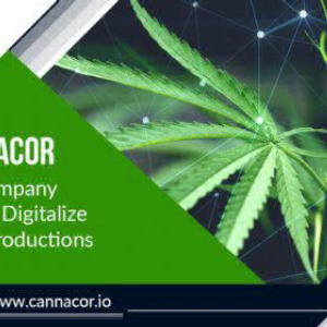 CannaCor: The Company Looking To Digitalize Cannabis Productions