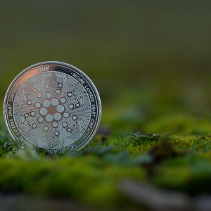 Cardano Sets Launch Date for Shelley Update with ADA Staking Rewards, ADA Price Up 11%