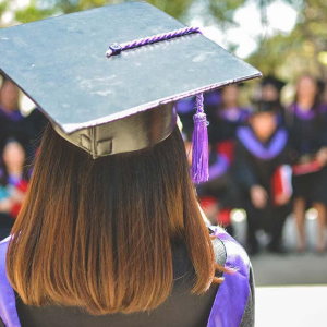 Fighting Fake Degrees: Platform to Verify Education and Work Experience via Blockchain
