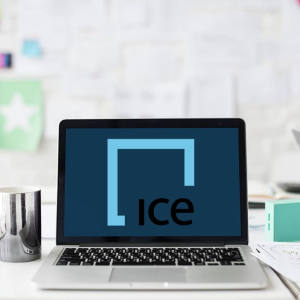 ICE Founder: Digital Assets Will Unequivocally Survive