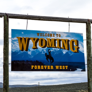 Wyoming Amended Insurance Code to Allow Domestic Companies to Invest in Digital Assets