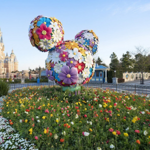 Walt Disney (DIS) Stock Rises 2% as Shanghai Theme Park Is Set to Reopen