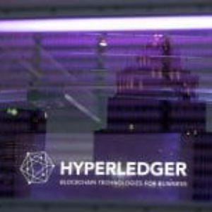 Hyperledger Adds Alibaba Cloud, Citi, Deutsche Telekom, we.trade and 12 more New Members at Hyperledger Global Forum