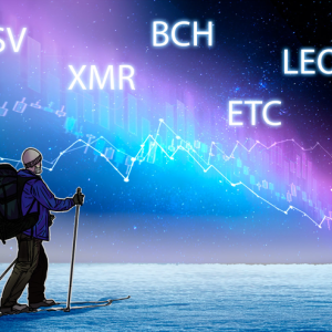 Top-5 Cryptos This Week (Jan 5): BSV, XMR, ETC, BCH, LEO