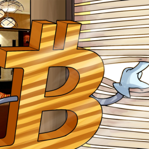 Bitcoin Privacy Is the Only ‘Big Question’ for Devs, Says Poolin CEO