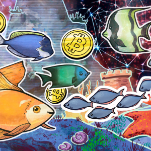 Bitcoin shortage as Wall Street FOMO turns BTC whales into 'plankton'