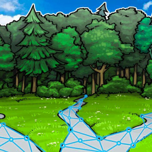 Blockchain Firm BitFury Partners With UN on Forest Project in Kazakhstan
