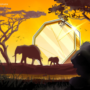 African traders least likely to fall for crypto scams: Chainalysis