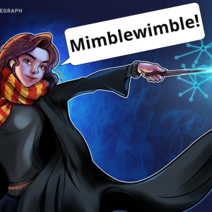 Grin’s Mimblewimble Privacy Model Under Threat After Alleged Break-In