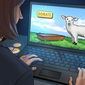 Crypto-powered Sheep Feeding Channel Raises Money for a Good Cause