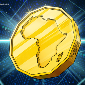 P2P Crypto Trading Volume Increased 2800% in South Africa, Says Paxful