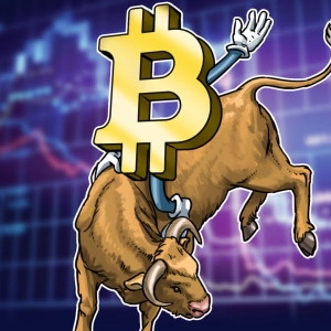 Record high Bitcoin whale population is bullish for BTC price — Analyst