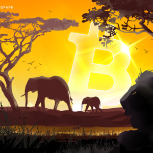 Documentary Review - Banking on Africa: The Bitcoin Revolution