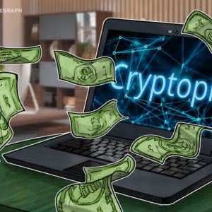 Cryptopia Could Open by March 4 as Officials Hint at Sums Lost in Hack