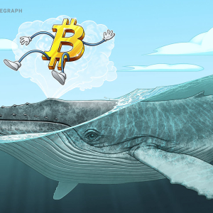Don’t panic? ‘Smart money’ whales are waiting to buy Bitcoin at $8,800