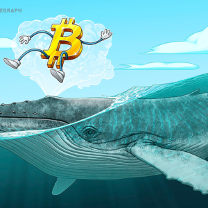 Bitcoin Whale ‘Defends’ $7.2K Price With 800 BTC to Win $0.01 in DOGE