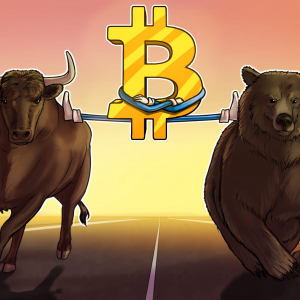 Bitcoin adoption is the main key right now, Novogratz says