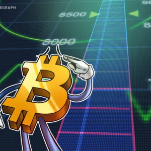 Bitcoin Breaks $8,000 for First Time Since July 2018, Stocks and Oil Report Losses