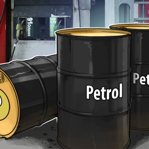 Venezuela Raises Petrol Prices, Mandates Support for Petro at Gas Stations