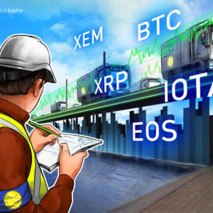 Top 5 Crypto Performers Overview: XEM, Ripple, EOS, Bitcoin, IOTA
