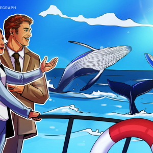Bitcoin Whale Population Approaching September 2017 Levels