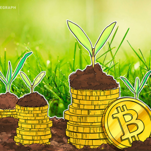 ‘I got Bitcoin!’ — trick-or-treaters rewarded with crypto