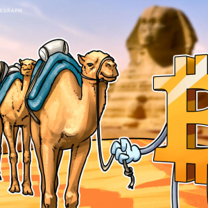 Bitcoin use rise in Egypt amid economic recession