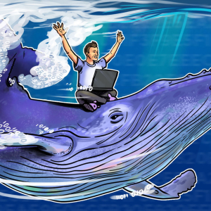Bitcoin Hodlers Bought BTC 90% of 2020 as Halving Spawns New Whales