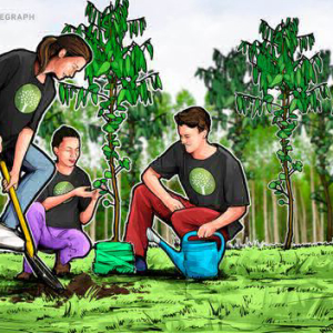 How One Project Is Going to Save Trees In Paraguay Via Blockchain