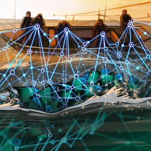 National Fisheries Institute and IBM’s Food Trust Work on Seafood Blockchain Traceability