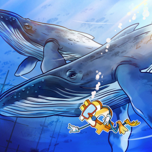 Bitcoin whales tread water and hodl despite recent BTC price drop