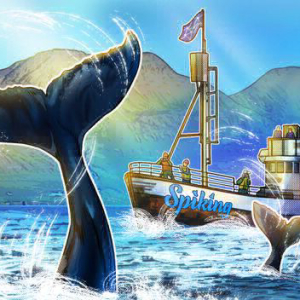 ‘The Power of 1,000 Whales in Your Wallet’ — Crypto Platform’s Promise to Newbie Traders