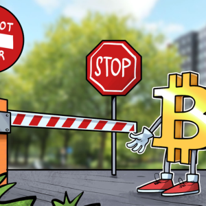 Europe’s New Regulations Force Bitcoin Service Bottle Pay to Shut Down