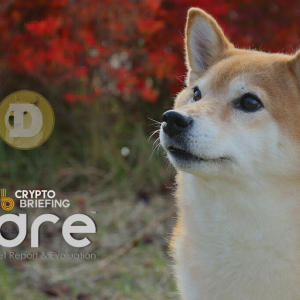 Dogecoin Digital Asset Report: DOGE Token Review and Investment Grade