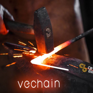 VeChain Ready for a Correction, 600% Bull Rally Reaching Exhaustion