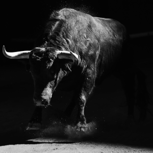 Phemex Exchange Meets DeFi Bulls, Launches Perpetual Contracts for YFI and LEND