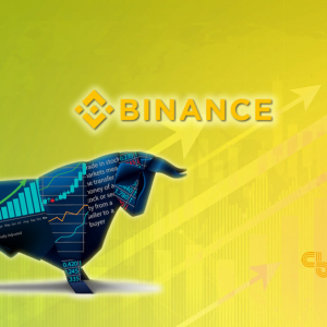 Binance BNB Leads Charge As Crypto Bulls Run Rampant