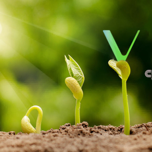 As Summer Starts, VeChain Is Bearing Fruit