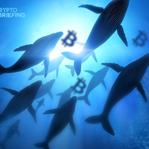 Save The Whales? Why Big Traders Aren’t That Bad For The Crypto Ecosystem