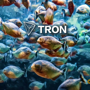 Feeding Frenzy Drives TRX Surge: Traders Swap Bitcoin For TRON